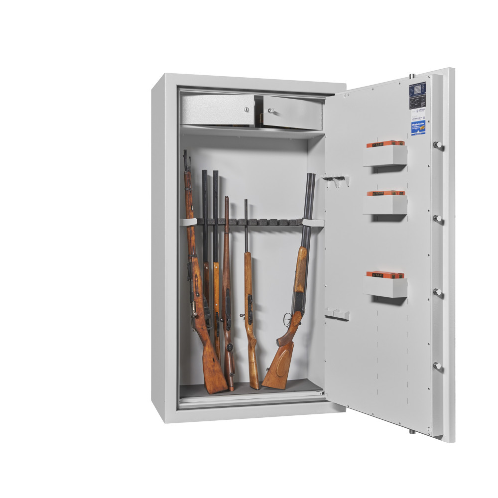 WT 250-10 Gun safe